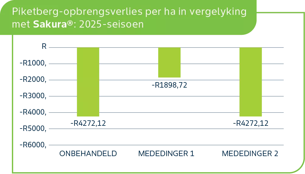 Piketberg 2.png